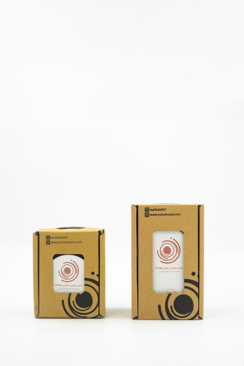 سیب زمینی ترشی تخمیری مهشاد