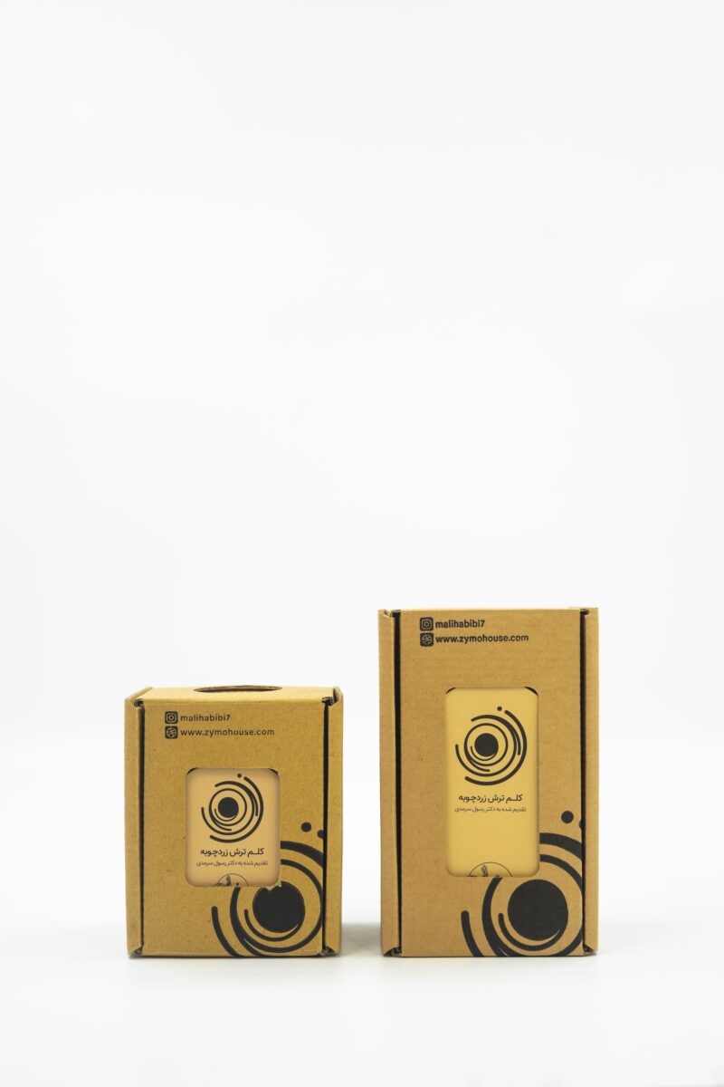 کلم ترش زرچوبه سرمد