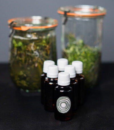 روغن پونه کوهی