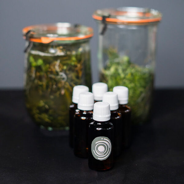 روغن پونه کوهی