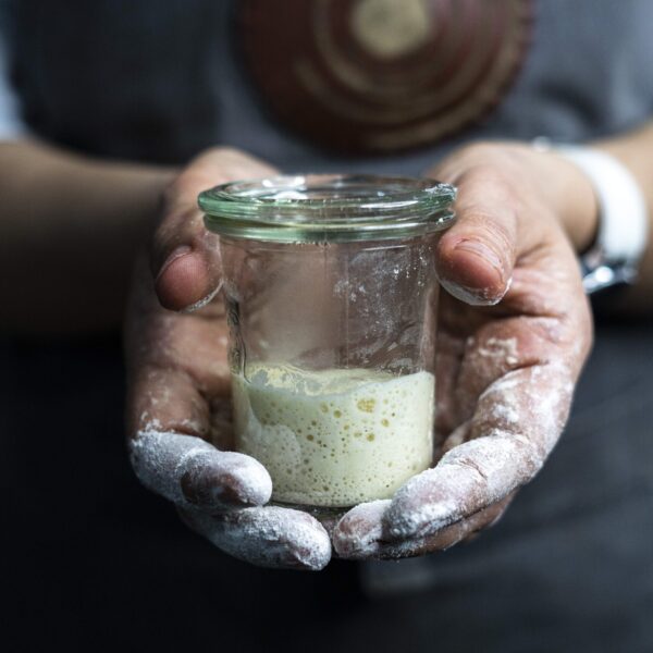 مایه خمیرترش