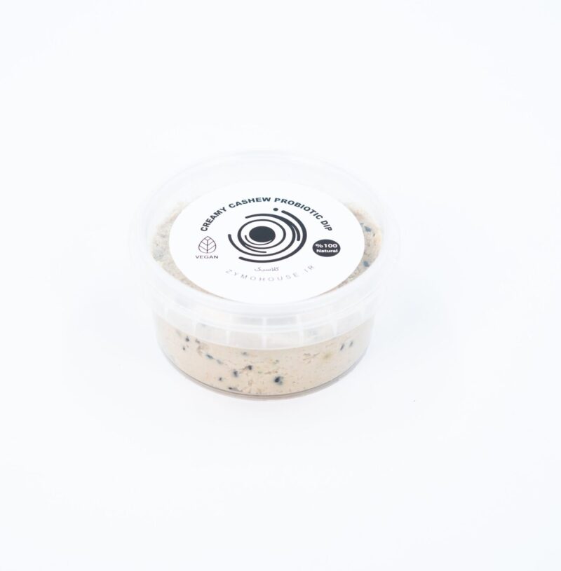 پنیر پروبیوتیک وگان با پایه بادام هندی(غیر لبنی) - Image 1