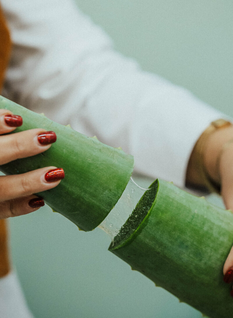 شات سم زدایی