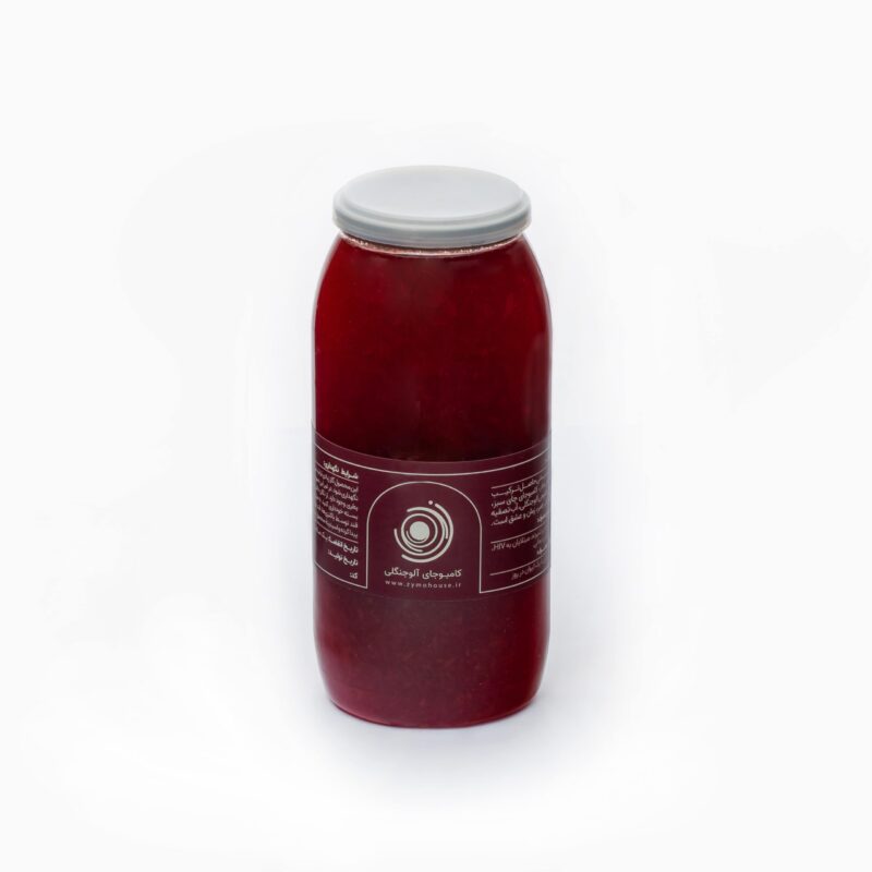 sloe-kombucha کامبوجای آلوجنگلی - Image 1