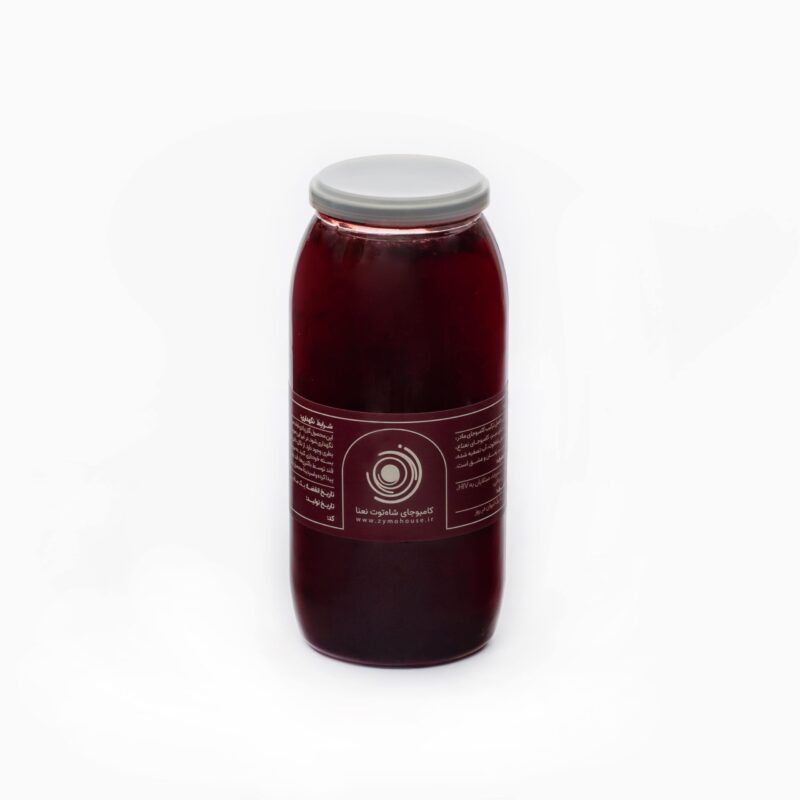 blackberry-mint-kombucha کامبوجای شاه توت نعناع - Image 1