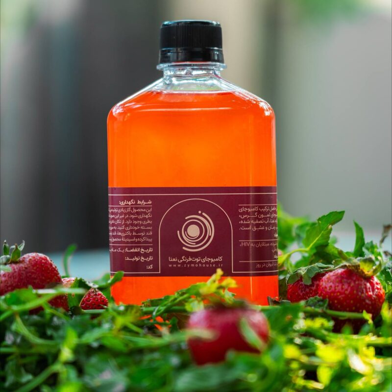 کامبوجای توت فرنگی نعنا - Image 1