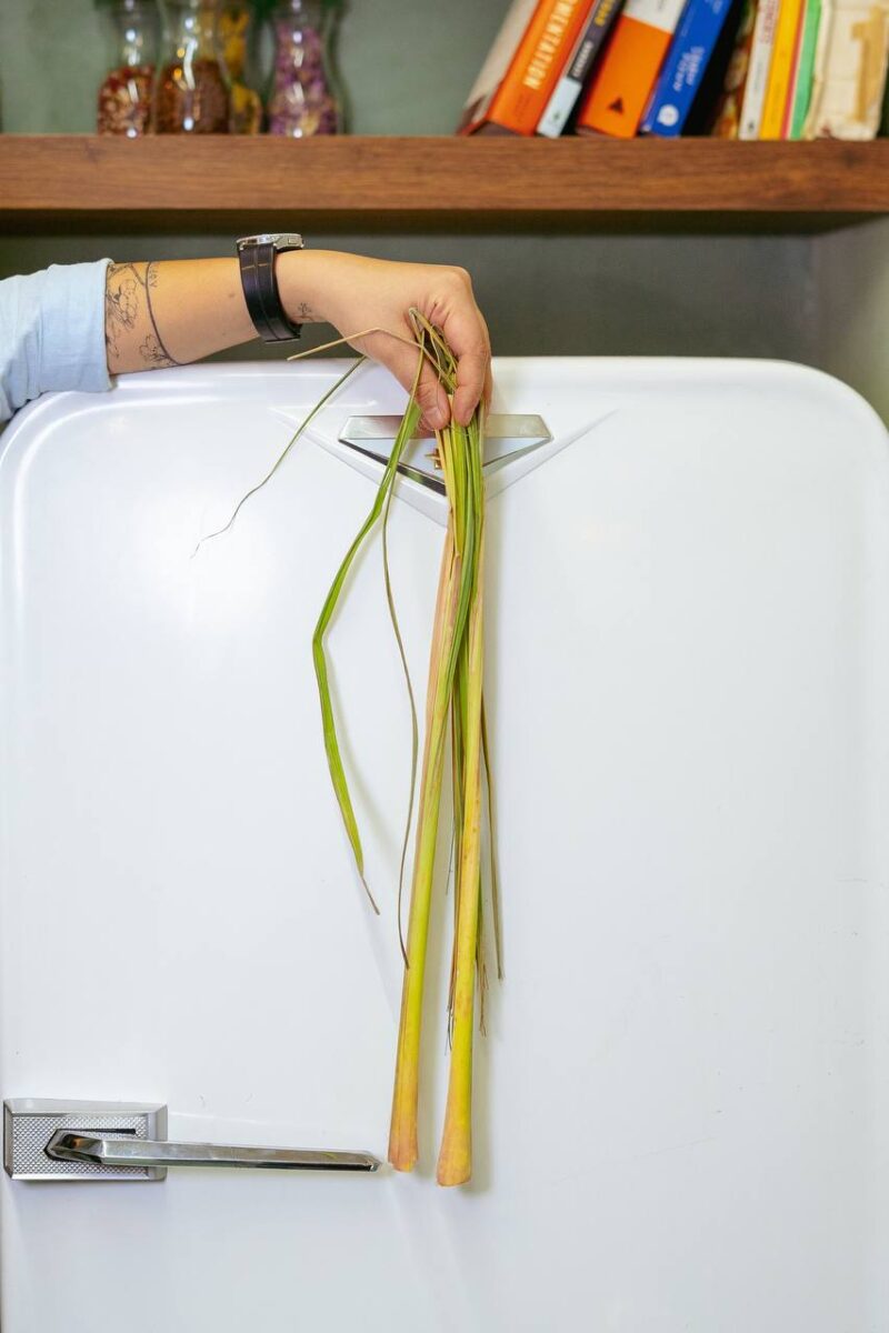 IMG_20240519_110740_275 کامبوجای فالوده(لمون گرس) - Image 3