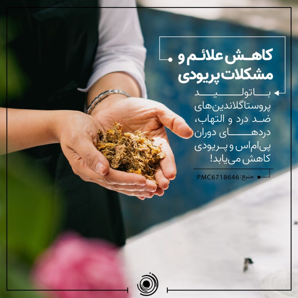 روغن گل مغربی