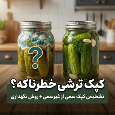 کپک ترشی