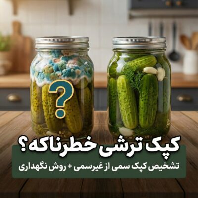 کپک ترشی